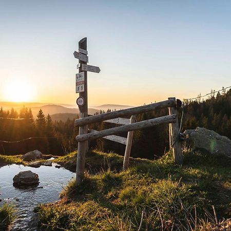 Waldhotel Fehrenbach Hinterzarten Eksteriør bilde