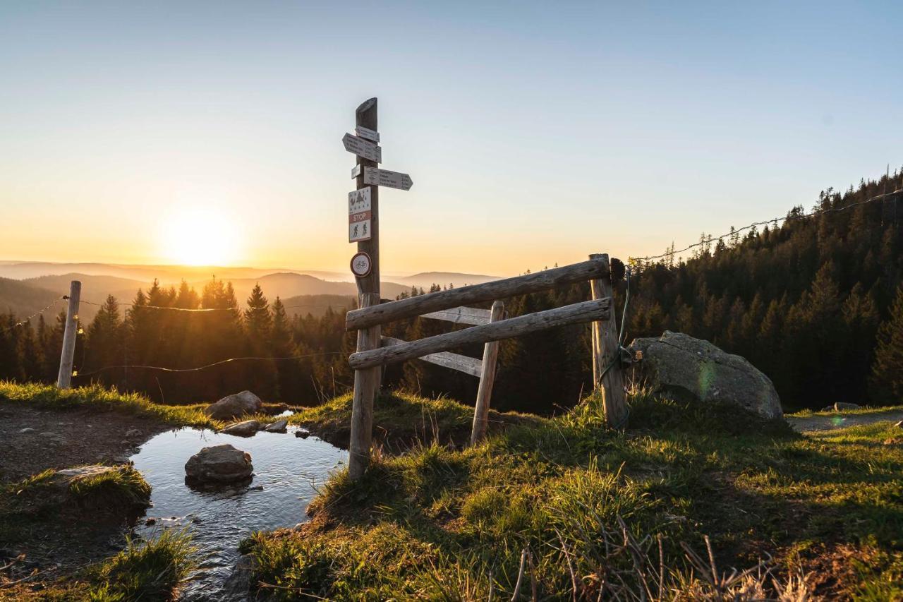 Waldhotel Fehrenbach Hinterzarten Eksteriør bilde