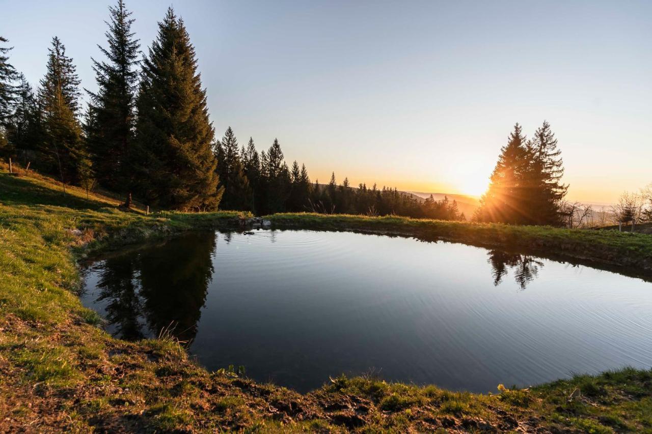 Waldhotel Fehrenbach Hinterzarten Eksteriør bilde